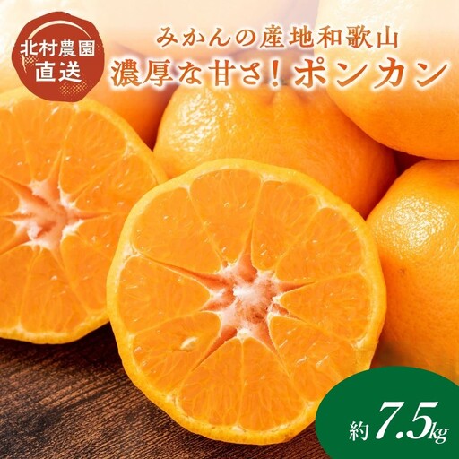 濃厚な甘さ！ポンカン7.5kg《先行予約》【1055-3】