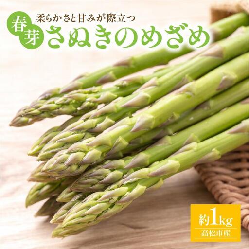 柔らかさと甘みが際立つ さぬきのめざめ春芽 約1kg【2027-3月上旬～2027-5月上旬配送】
