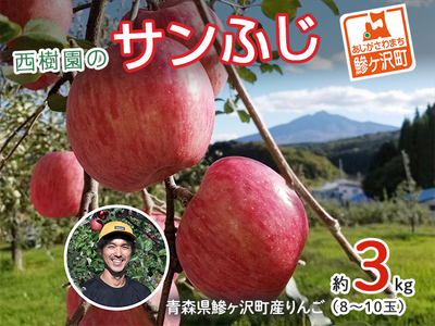 りんご 青森 サンふじ リンゴ 約 3kg (8～10玉) 青森県 鰺ヶ沢町産 西樹園 フルーツ 果物 果物類 白神山地 林檎 サンフジ ふじ 