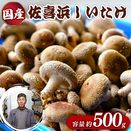 国産 佐喜浜しいたけ 約500g 椎茸 しいたけ 肉厚 うまみ 菌床 きのこ キノコ 調理 料理 ごはん ご飯 6000円 高知県