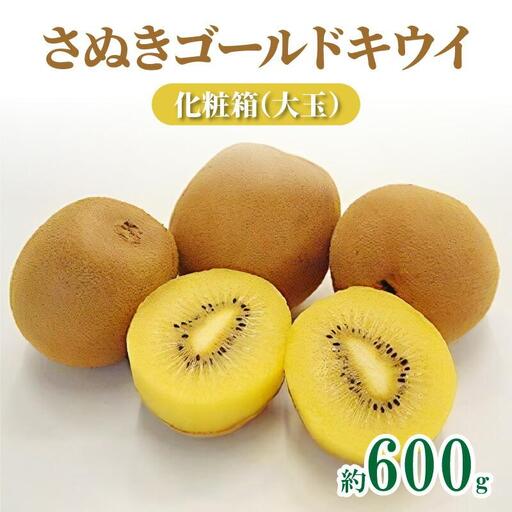 さぬきゴールドキウイ化粧箱(大玉)　約600g【2026年10月中旬～2027年1月下旬配送】