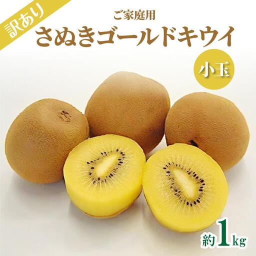 訳あり ご家庭用 さぬきゴールドキウイ (小玉) 約1kg【2026年10月中旬～2027年1月下旬配送】