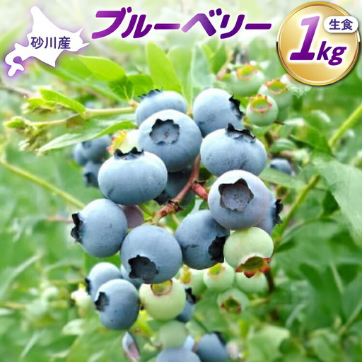 【期間限定発送】 ブルーベリー 生食 1kg