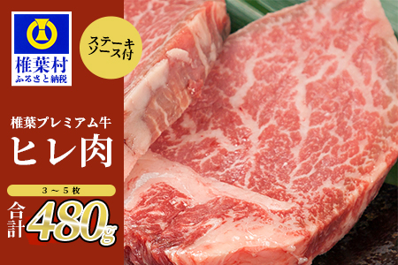 宮崎県産 椎葉プレミアム牛 ヒレ 480g お試しステーキソース付き 国産牛 黒毛和牛 和牛 牛肉 赤身 肉 ヒレ ステーキ 焼肉 バーベキュー