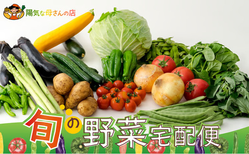 60P3205 旬の野菜宅配便【陽気な母さんの店 】