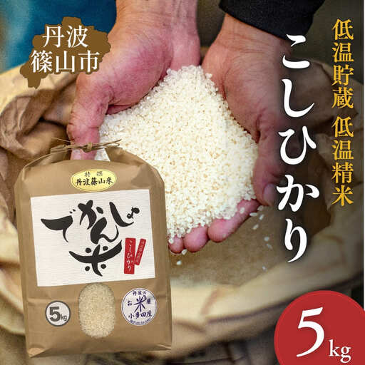 コシヒカリ【新米】特A 丹波篠山産  5kg コシヒカリ