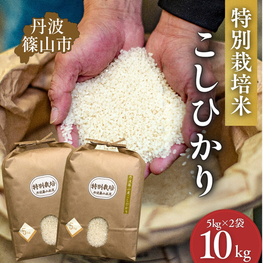 特別栽培米コシヒカリ【新米】特A丹波篠山産  5kg×2 10kg コシヒカリ