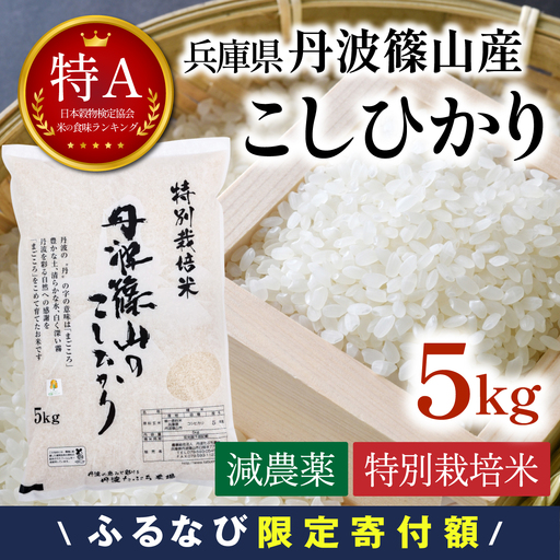 ふるなび限定寄付額[スピード出荷]減農薬 特A コシヒカリ 5kg 丹波篠山産 特別栽培米 こしひかり