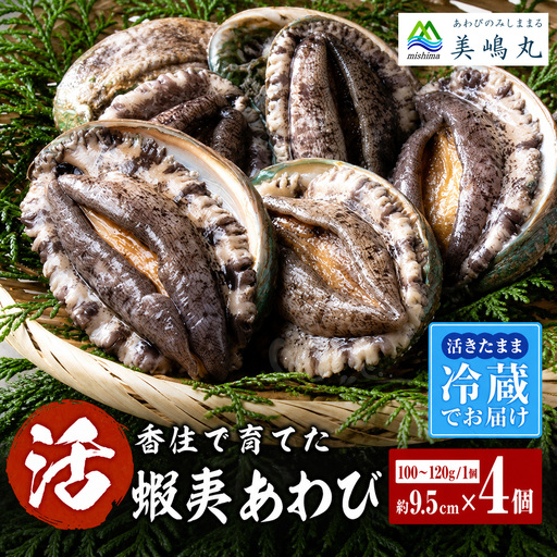 高評価☆4.8 活あわび 9.5cm×4枚 400g～480g (1個100～120g） あわび アワビ 20-03