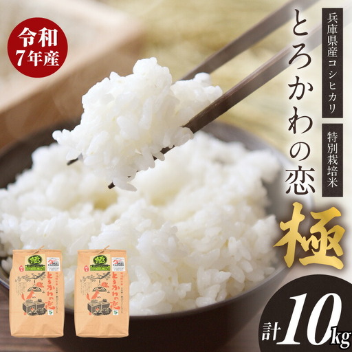 【令和7年産】兵庫県産 コシヒカリ とろかわの恋（極） 但馬堆肥米 お米 令和7年産 13-01