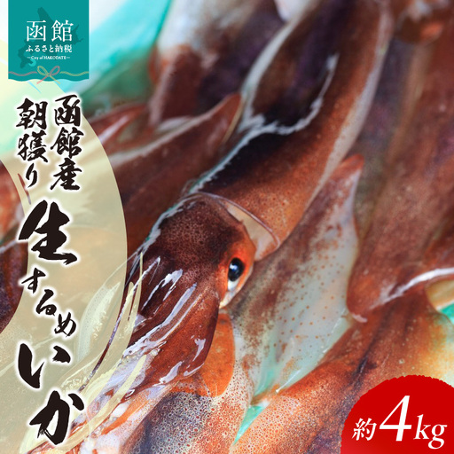 函館産 朝獲り 生するめいか 約 4kg 季節限定 イカ 生いか スルメイカ_HD010-007