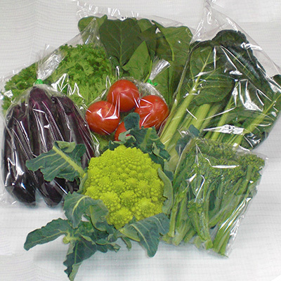 旬の奈良野菜セット(旬の野菜7品以上が入ります)/// 夏野菜 季節 厳選 旬 おまかせ 野菜セット セット 詰め合わせ 産地直送 奈良県 広陵町