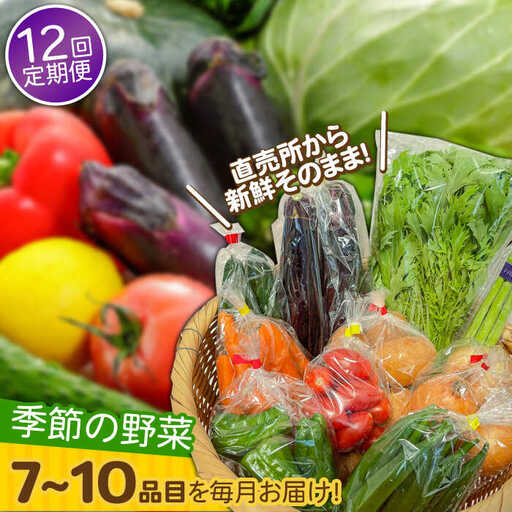 【12回定期便】野菜定期便 7?10品目 / ながさき南部 [SBW005] 