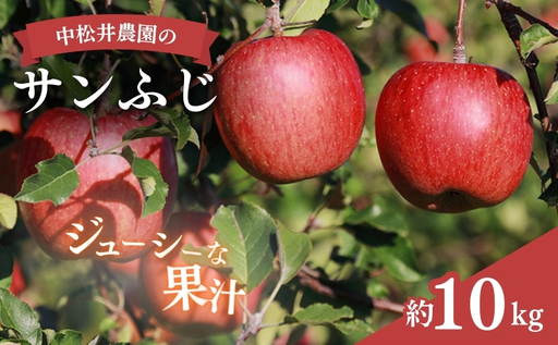 りんご 中松井農園のサンふじ 約10kg りんご