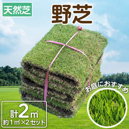 天然芝[野芝]2平米! 芝 芝生 天然 天然芝 DIY グランドカバー ガーデニング 野芝 鹿児島県 お庭