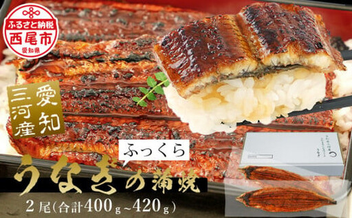 三河産 うなぎ蒲焼《超特大》2尾（400～420g）・A090-15-1