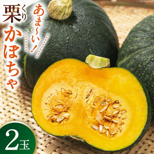 【期間限定発送】 野菜 栗カボチャ 2玉