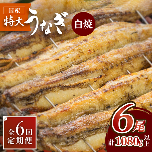 ふっくらジューシーのこだわりうなぎ【6回定期便】国産うなぎの白焼 6枚セット×6回[FAD019]