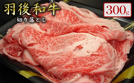 羽後和牛 贅沢切り落とし300g 