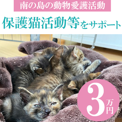 【南の島の動物愛護活動】保護猫活動等をサポート（3万円）- ねこ ネコ 地域猫 保護活動 支援 応援 さくらねこ 動物愛護 保護 里親 寄附のみ 沖縄県 八重瀬町