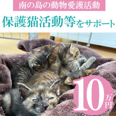 【南の島の動物愛護活動】保護猫活動等をサポート（10万円）- ねこ ネコ 地域猫 保護活動 支援 応援 さくらねこ 動物愛護 保護 里親 寄附のみ 沖縄県 八重瀬町