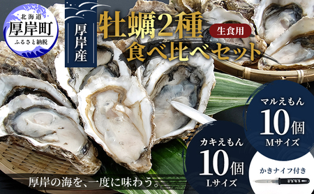 北海道 厚岸産 殻付牡蠣の食べ比べセット！（生食用）カキ 牡蠣