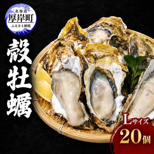 厚岸産 殻牡蠣 Lサイズ 20個 セットカキ 大粒 新鮮 濃厚 マルえもん 牡蠣