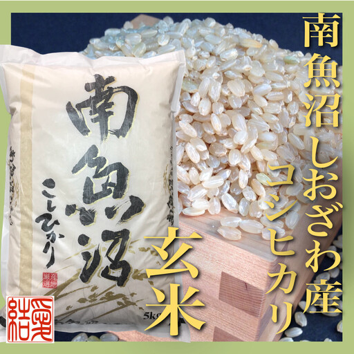 【令和7年】【定期便】玄米 南魚沼しおざわ産コシヒカリ5Kg×6ヶ月｜玄米