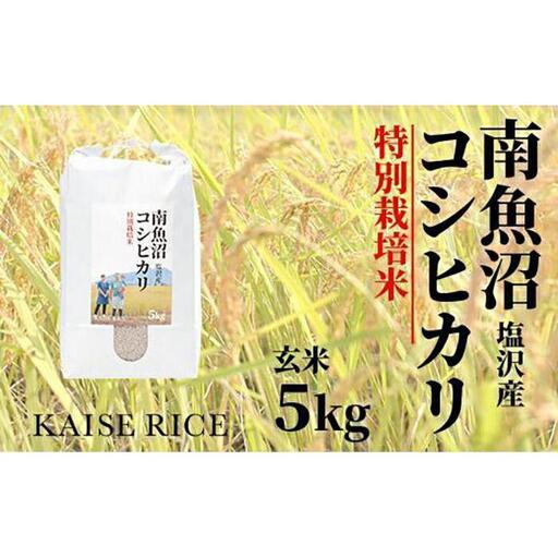 【令和8年産 新米】南魚沼産塩沢コシヒカリ【従来品種】（特別栽培米８割減農薬）玄米５ｋｇ