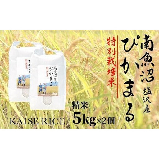 【令和8年産 新米】南魚沼産塩沢【ぴかまる】（特別栽培米８割減農薬）精米５ｋｇ×２個