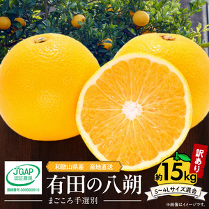 【2027年先行予約】和歌山県産 有田の八朔 (はっさく)【訳あり 家庭用】約15kg【S～4Lサイズ混合】まごころ手選別 _ZE6372n