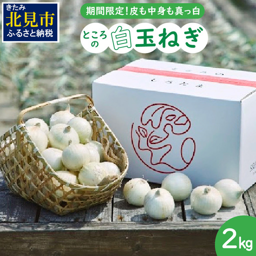 [予約:2026年7月中旬から順次発送]ところの白玉ねぎ 2kg ( 玉ねぎ タマネギ 玉葱 野菜 白玉ねぎ 2キロ 期間限定 辛みが少ない 生食 )[121-0013-2026]