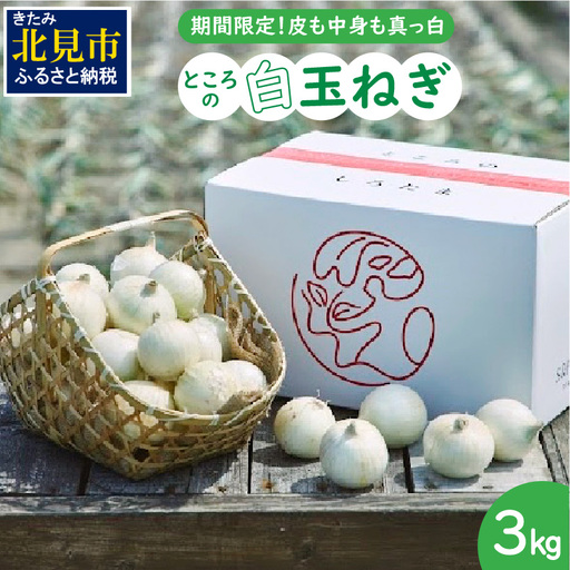 【予約：2026年7月中旬から順次発送】ところの白玉ねぎ 3kg ( 玉ねぎ タマネギ 玉葱 野菜 白玉ねぎ 3キロ 期間限定 辛みが少ない 生食 )【121-0003-2026】