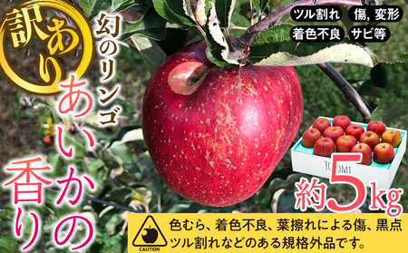 訳あり りんご あいかの香り 約5kg セット 2026年 令和8年度発送分 リンゴ 林檎 長野 フルーツ 果物 信州産 長野県産 特産 産地直送 家庭用 おすすめ