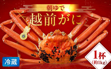 【先行予約/11月7日より順次発送】朝ゆで 越前がに 1杯　【1kg】 / ずわいがに 蟹 ズワイガニ 小浜市 / 小浜海産物 【配送不可地域：北海道・沖縄・離島】 [BFAA003] 