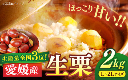生栗 2kg[9月上旬より順次発送]栗 [AGBN043]