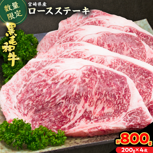 数量限定 黒毛和牛 ロースステーキ 計800g_DC26-25