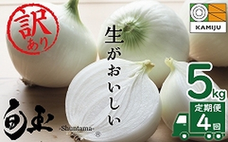 (2027年発送)訳あり 新玉ねぎ 定期便 5kg×4回　生がおいしい 神重農産のブランド玉ねぎ「旬玉」 ブランド玉ねぎ 玉ねぎ 新玉ねぎ 国産 愛知県産 野菜 やさい 農家直送 畑直送 旬 たまねぎ 先行予約 旬 特産 高評価 高リピート 人気 H105-188