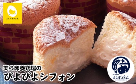 美ら卵養鶏場のぴよぴよシフォン 9個入り