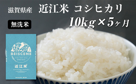コシヒカリ お米 10kg 無洗米 定期5ヶ月 コシヒカリ