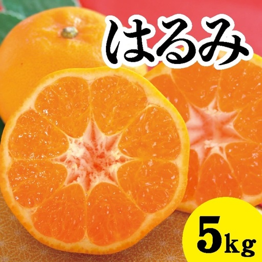 みかん 柑橘【先行受付】【2027年2月以降発送】甘くてジューシー！瀬戸内さぎしまのはるみ ＜約5kg＞ 広島 三原 佐木島 鷺島みかんじま みかん 017022