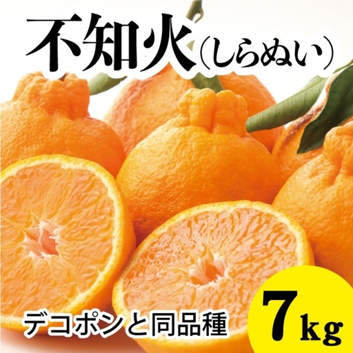 みかん 柑橘[先行受付][2027年3月以降発送]甘さ抜群しらぬい!デコちゃん[デコポンと同品種][約7kg] 広島 三原 佐木島 鷺島みかんじま フルーツ 果物 産地直送 人気 濃厚 小玉 大玉 017028