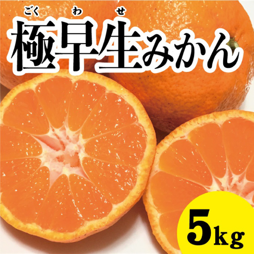 みかん 柑橘【先行受付】【2026年10月中旬以降発送】 甘さと酸味が絶妙！極早生 みかん 約5kg 三原 佐木島 017012