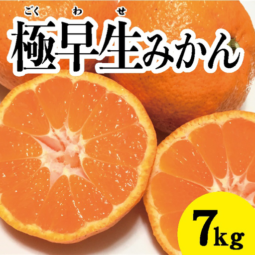 みかん 柑橘【先行受付】【2026年10月中旬以降発送】 甘さと酸味が絶妙！極早生 みかん 約7kg 三原 佐木島 017013