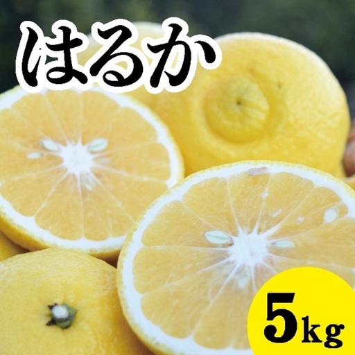 みかん【先行受付】【2027年3月中旬以降発送】濃厚な甘みに驚愕！ 瀬戸内のはるか＜約5kg＞広島 三原 佐木島 鷺島みかんじま 017029