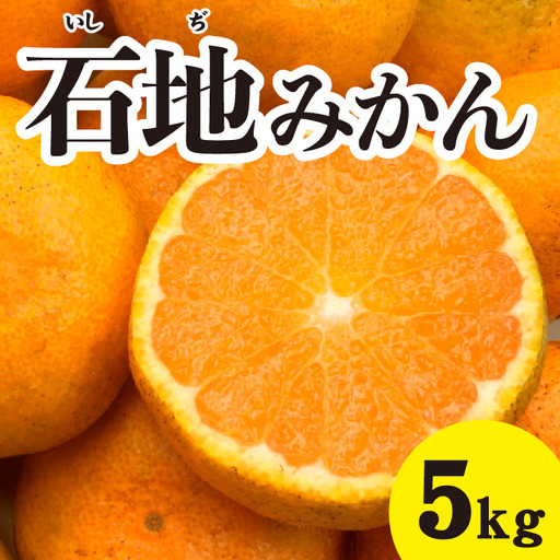 みかん 柑橘【先行受付】【2026年12月以降発送】糖度が高く濃厚！ 石地みかん＜約5kg＞広島 三原 佐木島 鷺島みかんじま 017016