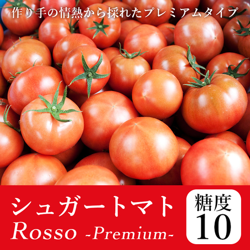 【先行予約・2027年2月】トマト 糖度10度以上 フルーツトマト 1kg｜高知県産 ロッソプレミアム10 高級 ギフト 贈答用 シュガートマト
