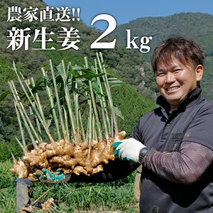 [先行予約・11月発送] 新生姜 2kg 高知県産 農家直送 期間限定 秋限定 旬 しょうが