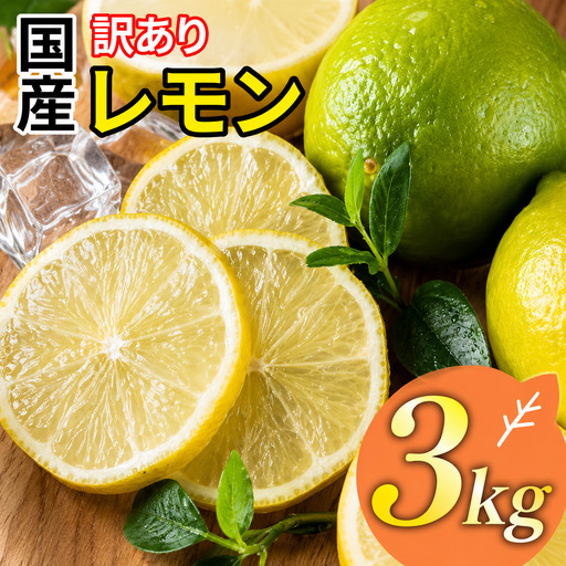 【レモン】 3kg レモン 清家ばんかんビレッジ