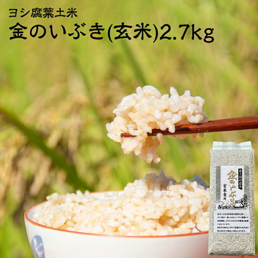 令和7年産 玄米 宮城県産 ヨシ腐葉土米 金のいぶき 2.7kg(900g×3) 真空パック 小分け 宮城県 石巻市